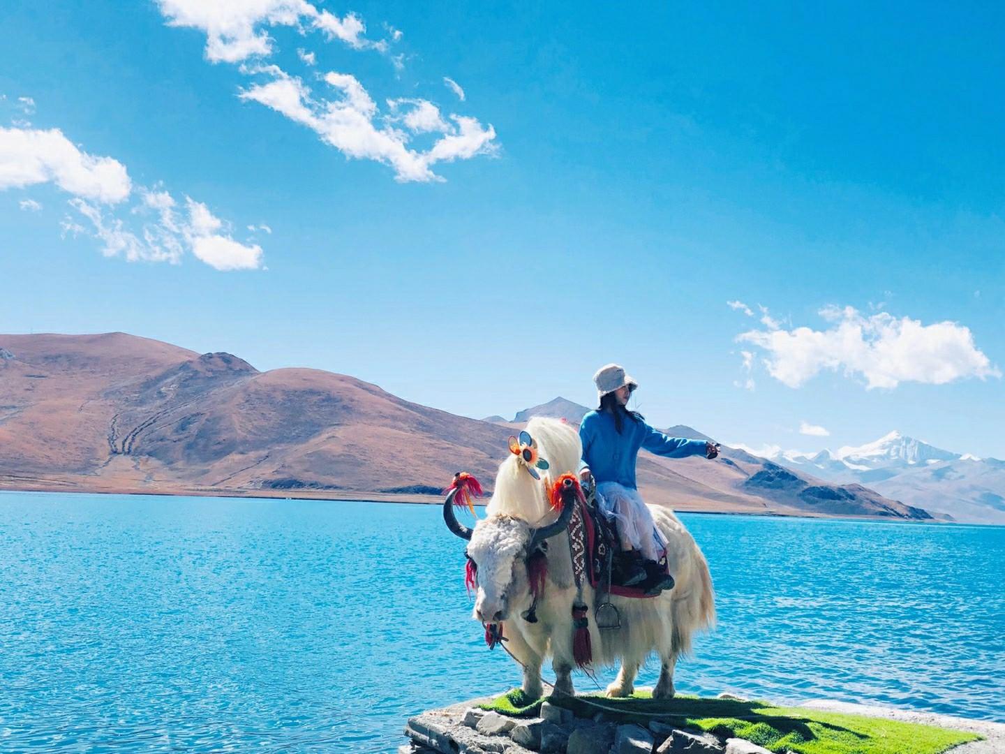 2021西藏旅游攻略之省钱省心篇附一年四季西藏美景常见问题