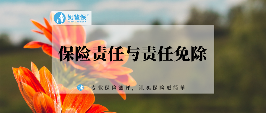 保险责任和责任免除是什么都有哪些内容