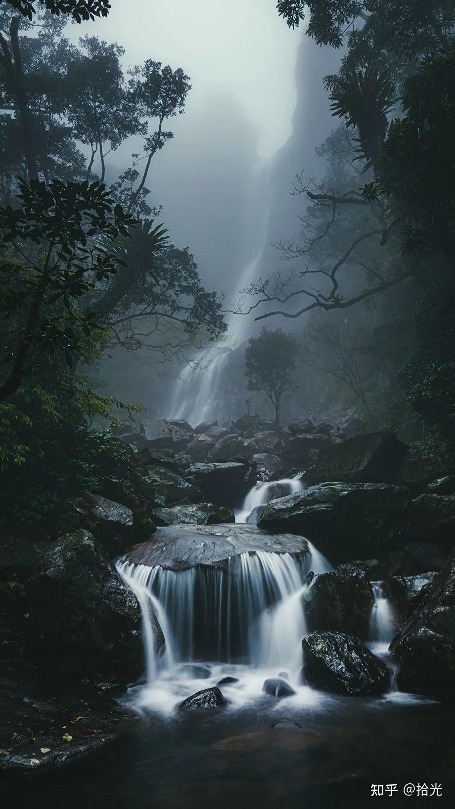 森林壁纸|大自然绿色森林壁纸|森林风景壁纸|唯美图片