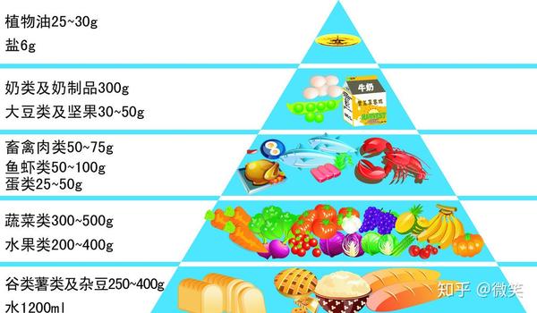 每日食物金字塔