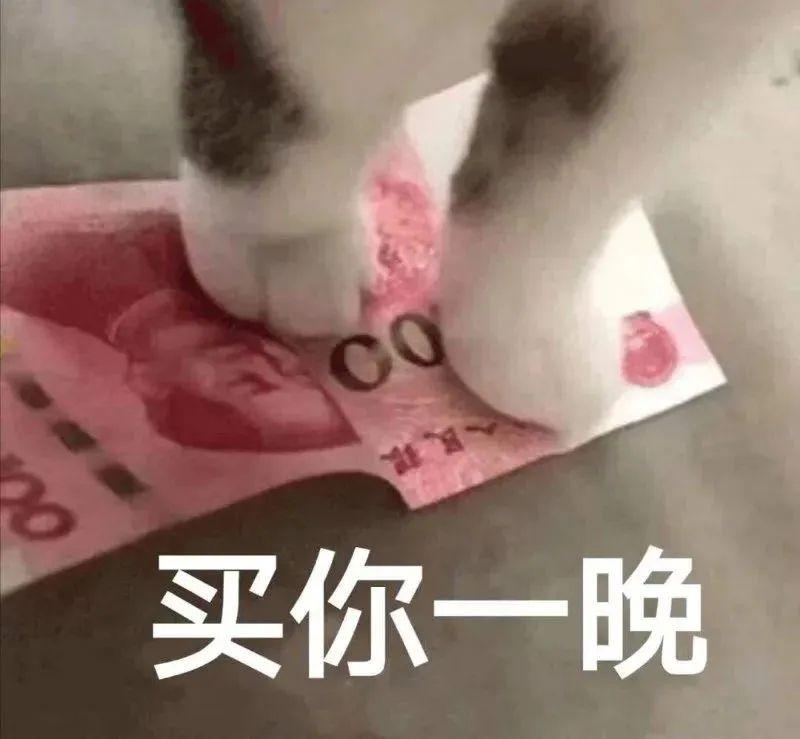 买你一晚猫爪表情包谁有吖快分享一下吧