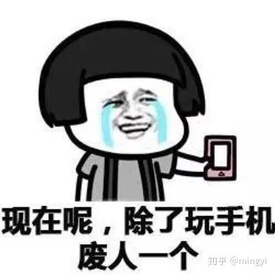 但是汪星人无处释放的精力会让ta们心情低落,烦躁