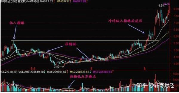 分辨清真假仙人指路形态让你避免各种坑