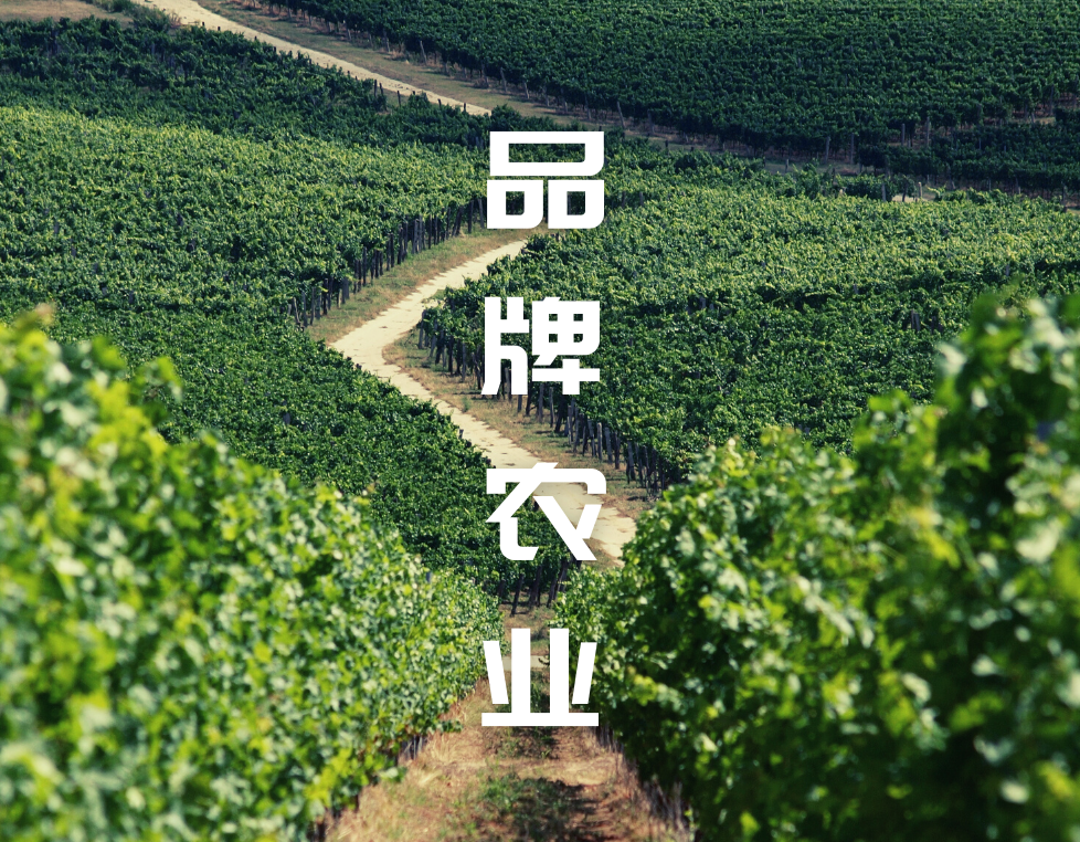 当然是品牌化农业,赋予农业新业态