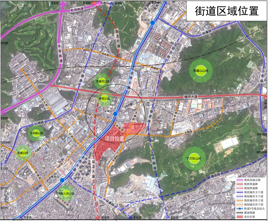 《关于 龙岗区新坡塘片区及新园路石化塑胶城改造专项规划>审批情况的