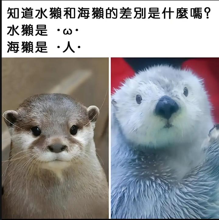 v2 a2230433910feebd56b879c404a8e91f 720w
