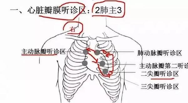 3,体格检查是否完善 心脏听诊有 5个听诊点,肺部