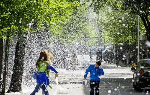 每年春天四五月份到处都飘满了柳絮关于它的危害你了解多少