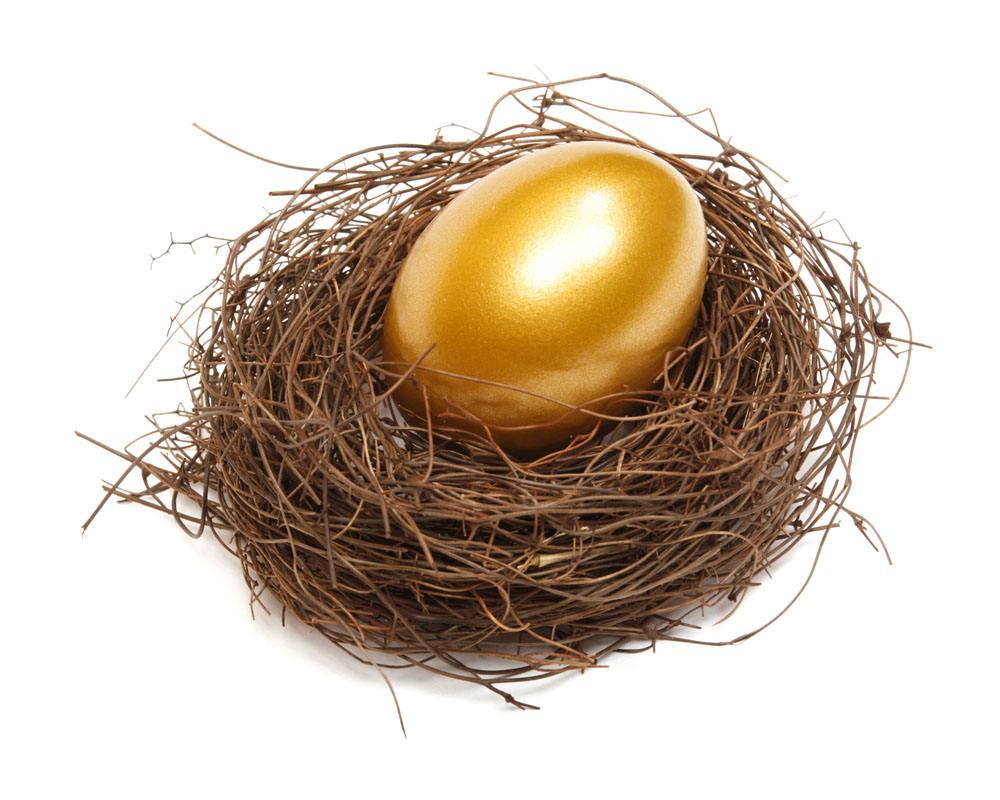 你想养一只会下金蛋的鹅吗?