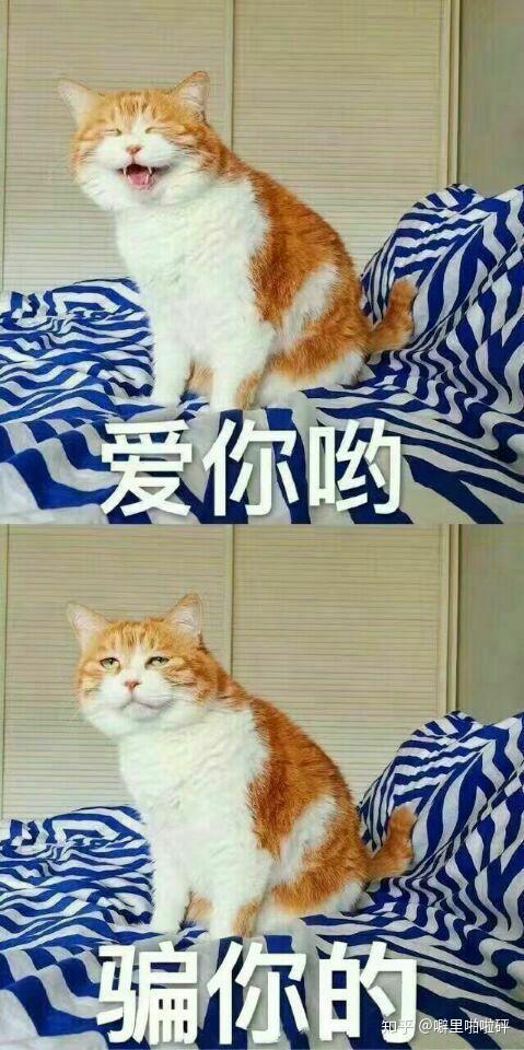 有什么适用于和老公/男票撒娇的可爱表情包?