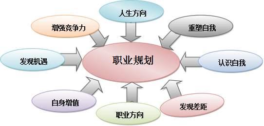 中学生生涯规划流程的具体步骤与逻辑顺序