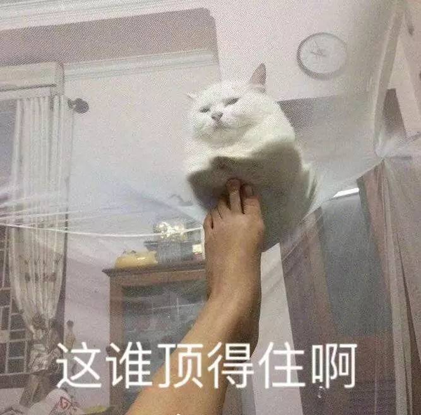 2019 vs 你,别怕,「这谁顶得住」表情包为你撑腰!
