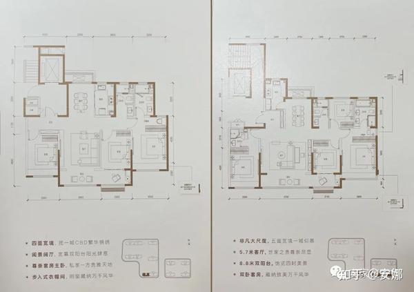 说两个当前时点的豪宅吧中信九庐和龙湖天奕