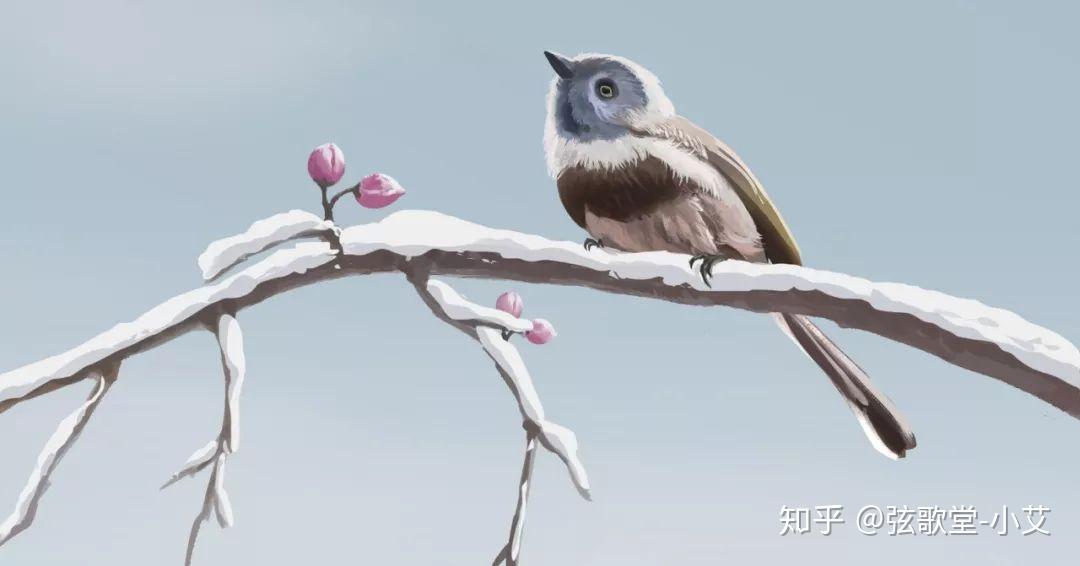 【一候 鹃鸥不呜"鹃鸥"为鸟类.