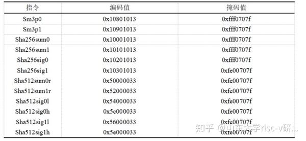 Risc V