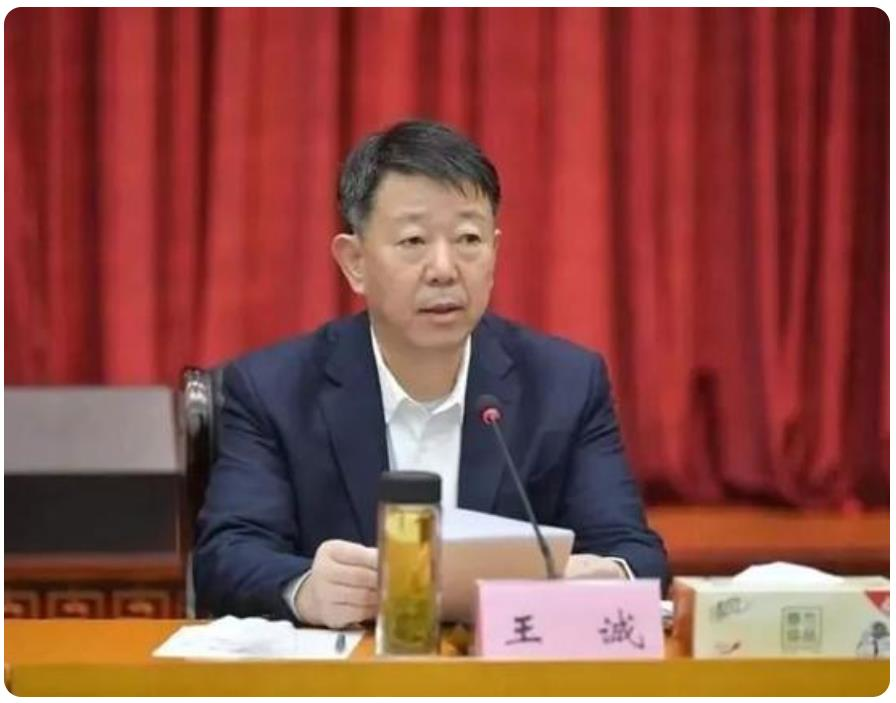 卸任还不到一个月海螺集团原董事长王诚被查