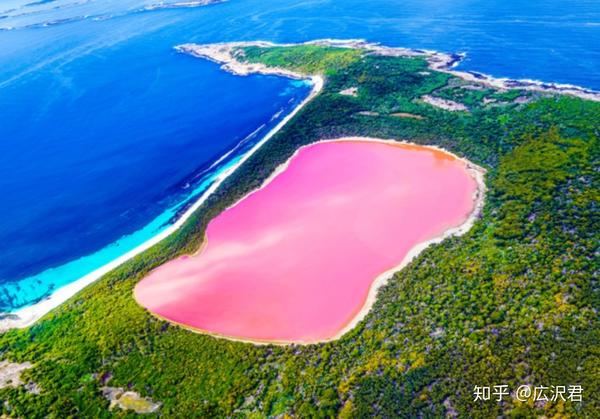 澳大利亚的希利尔湖(lake hillier),即是一个典型的晚期潟湖,因其湖中