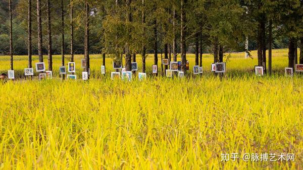 临安区於潜镇启动耕织小镇村落景区项目,开展乡村稻田艺术节!