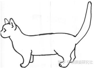 tica《evaluating munchkin cats》关于腿长标准做了简要的描述