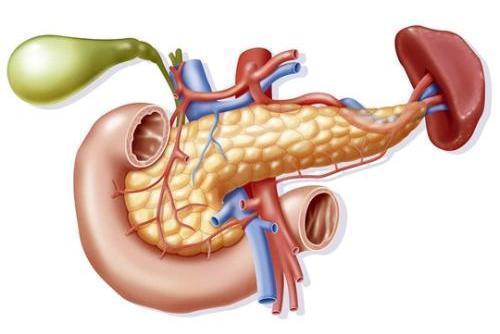 胰腺的炎症不能掉以轻心,胰腺炎症概率较高的人有哪些