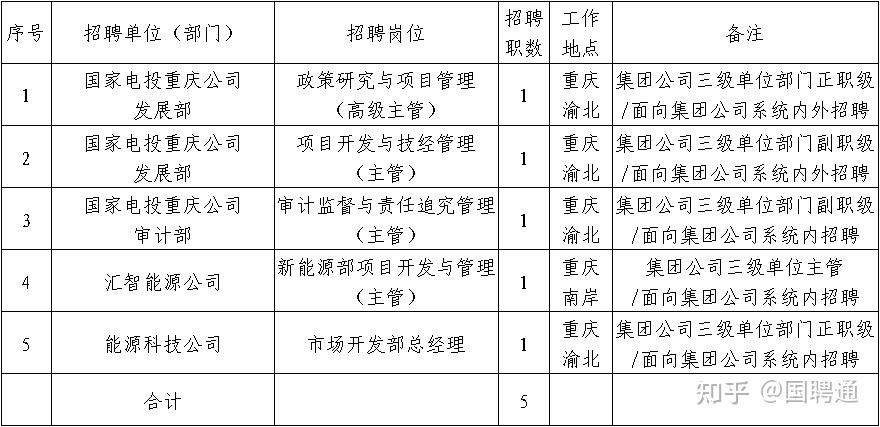 国家电投集团重庆电力有限公司招聘公告