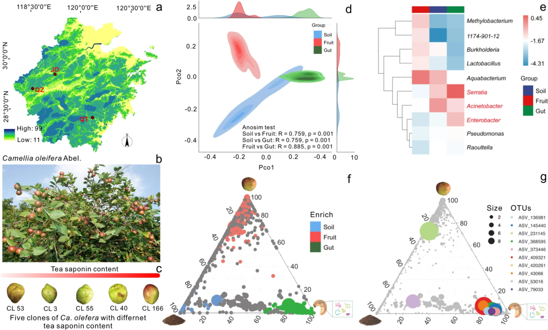 Microbiome