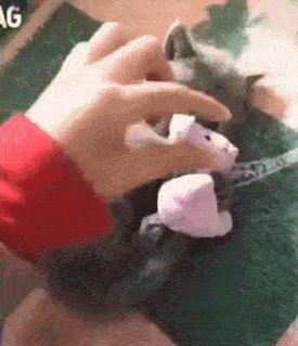 据说,这就是你女朋友生气时的样子