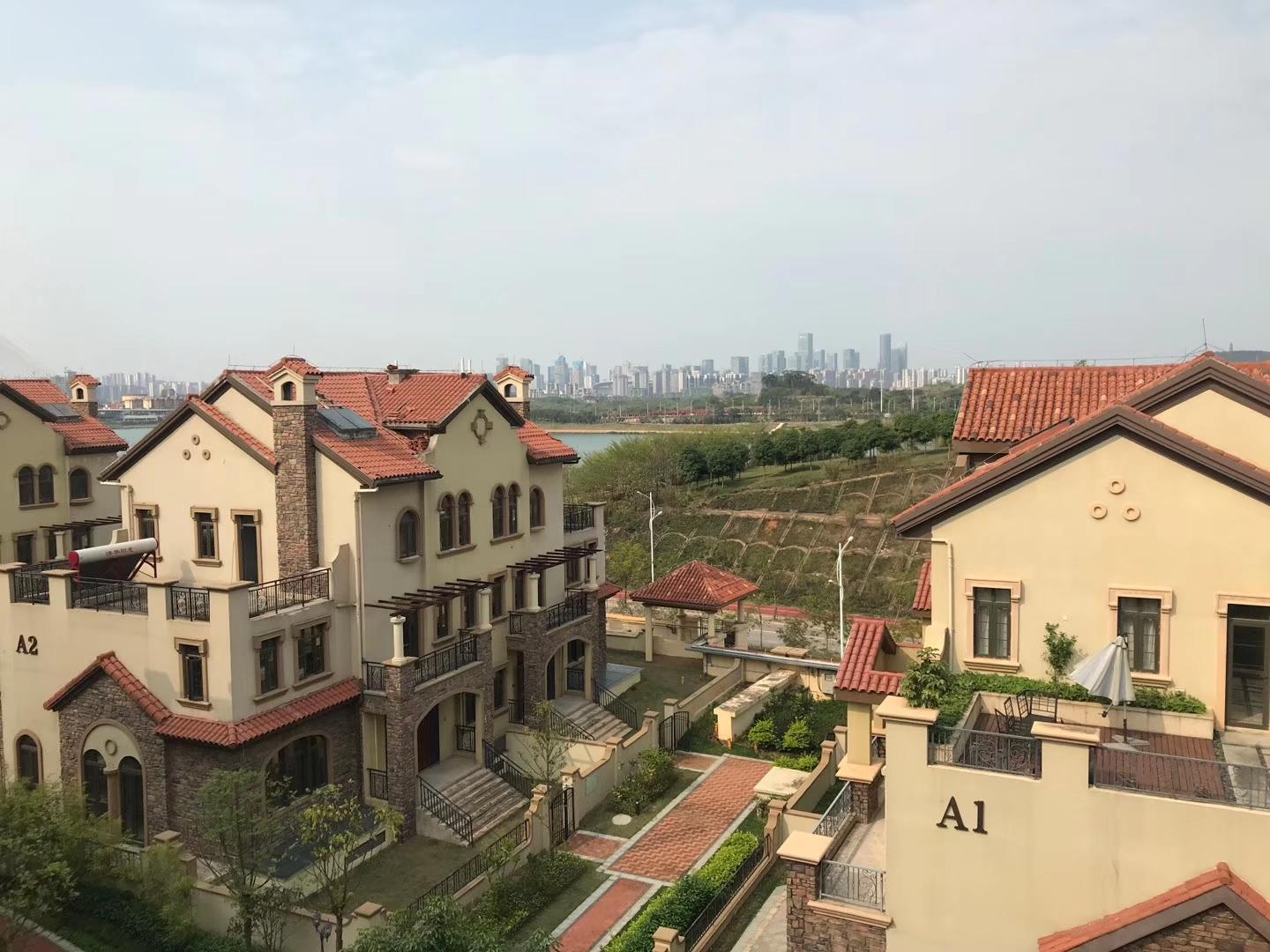 南宁一线江景别墅真有这么便宜吗如果这里是珠江你怎么看