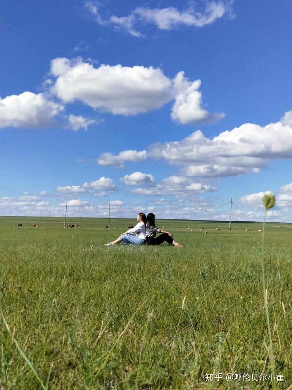 呼伦贝尔大草原七月到九月哪个时间段最适合旅游的今年草长的怎样