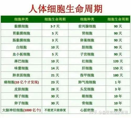 免疫力才是最好的"医生",增强免疫力关键靠自己!