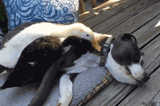 这简直是我童年最惨的回忆!