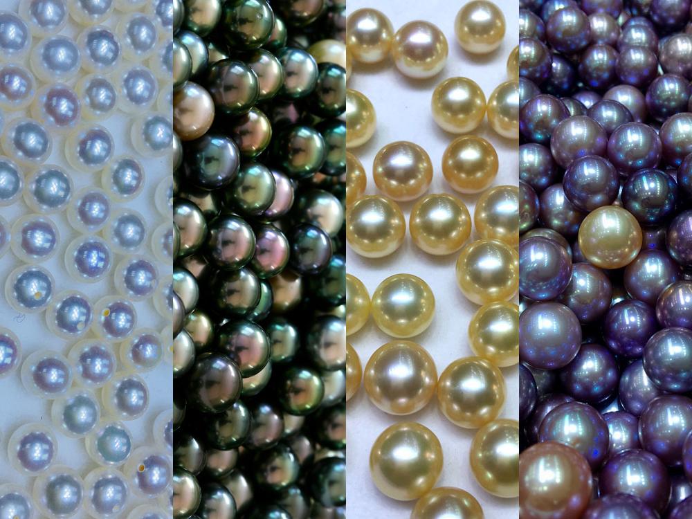 揭开珍珠五颜六色背后的真相珍珠的颜色是怎样形成的由什么决定如何
