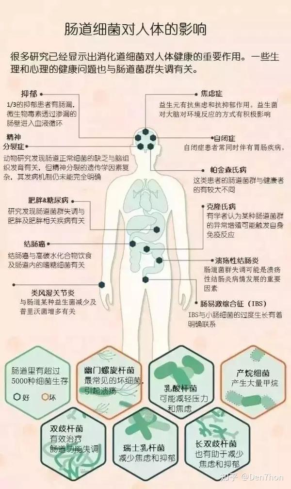 膳食纤维领导品牌畅享健康卿尔美