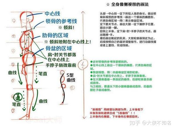 「推荐」2000字超详细教你如何画人体!闲着也是闲着,学起