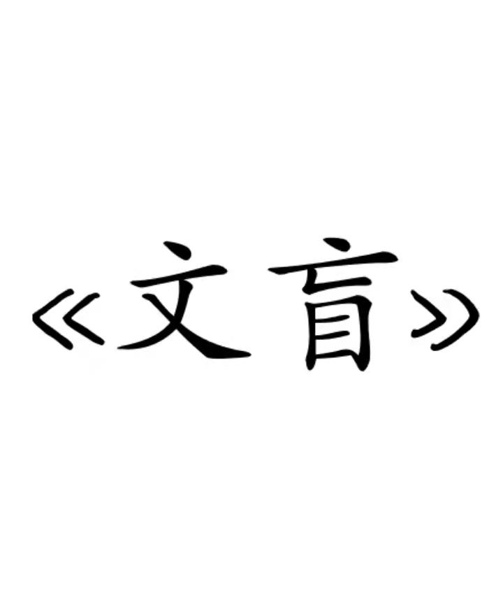 长篇小说《文盲》连载 5