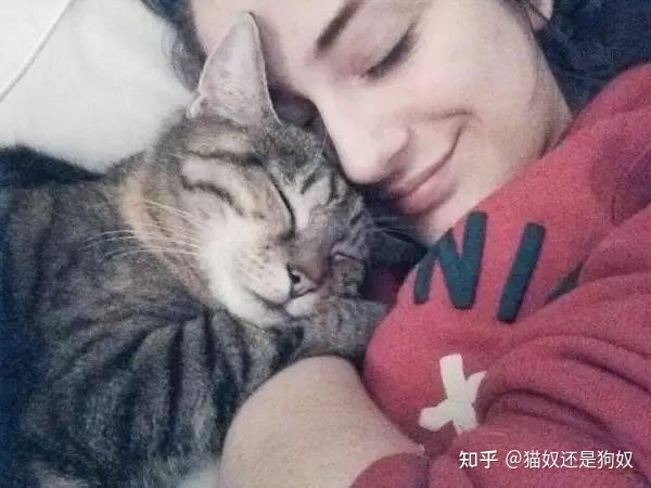 别怀疑了猫咪把你当妈妈有这些表现