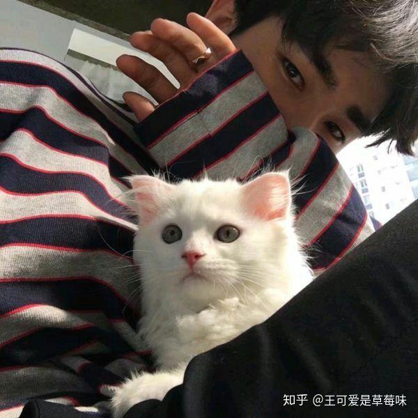 有哪些与众不同的男生头像?