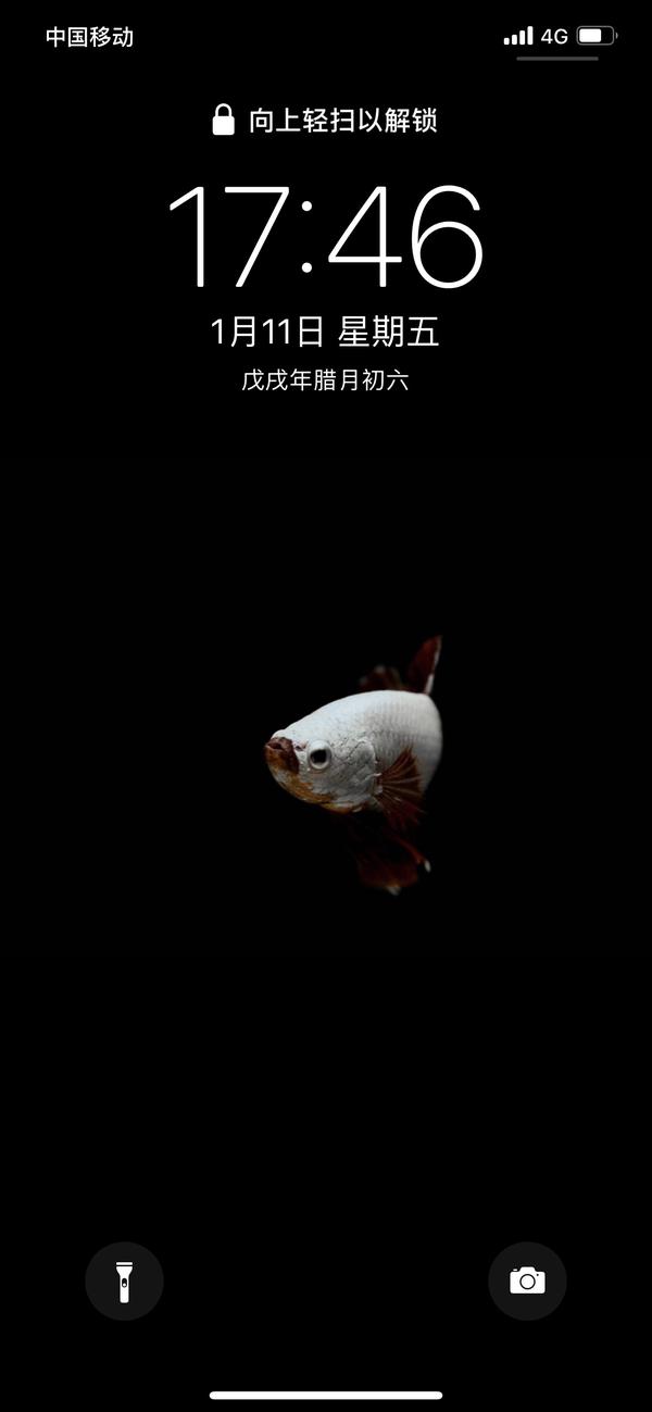 有哪些适合 iphonexs max 的壁纸?