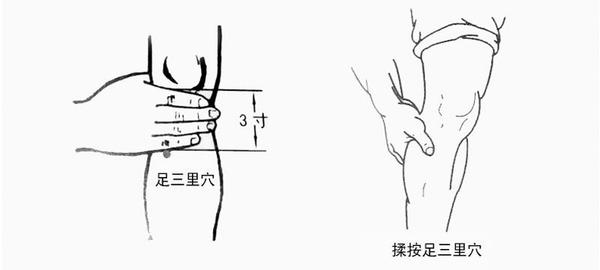 常揉足三里健脾和胃强壮身体增强孩子抵抗力