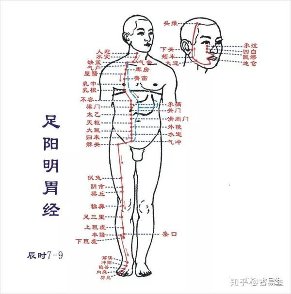 如难记,记每经前仨字,手之三阴,自手走头,足之三阳,自头走足,手之三阴