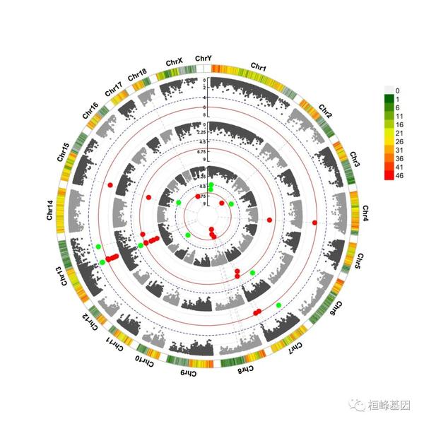 Dna Sci Gwas