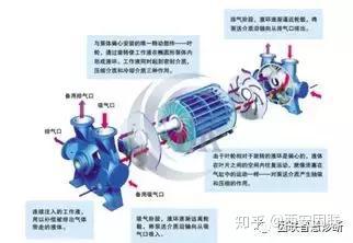 水环式真空泵工作原理