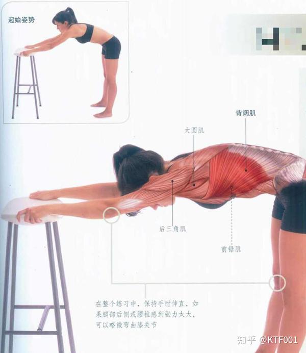 最详细肌肉拉伸教程二:背部拉伸