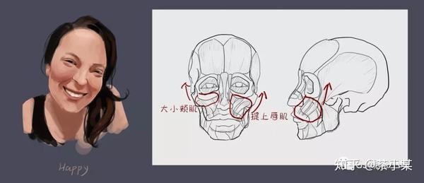 嘴角向两侧拉伸时,颧肌呵提上唇肌被抬升至下眼皮,其实在大小的时候