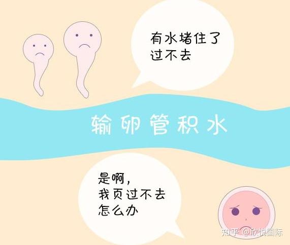 成都试管婴儿 输卵管堵塞/积液/积水的危害,女性同志都要注意!