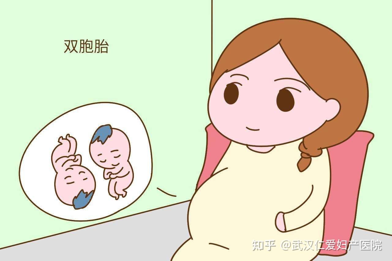 怀双胞胎的妈妈和单胞胎妈妈有什么不同