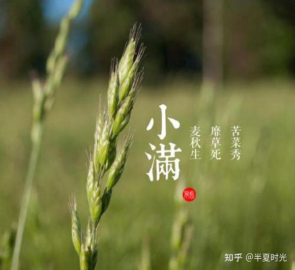有哪些描写小满的古诗词