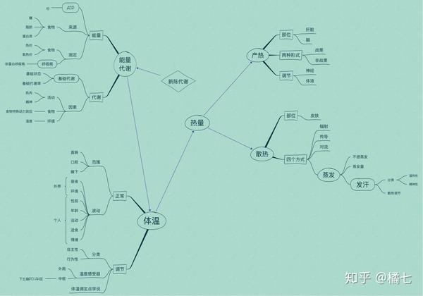 生理学思维导图-第七章能量代谢与体温