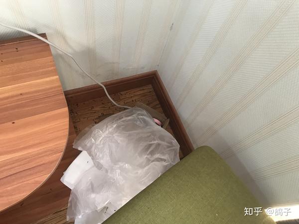 我家空调里居然住了一窝蝙蝠?