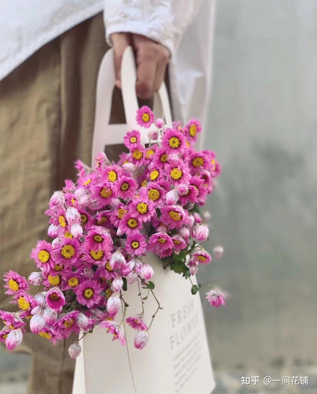 鲁丹鸟天然干花花材